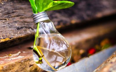 6 Soluções para a Eliminação de Resíduos